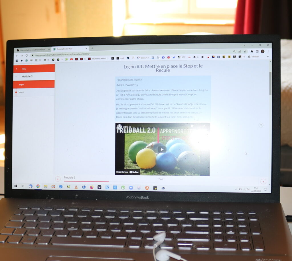 Cours en ligne treibball is SO fun