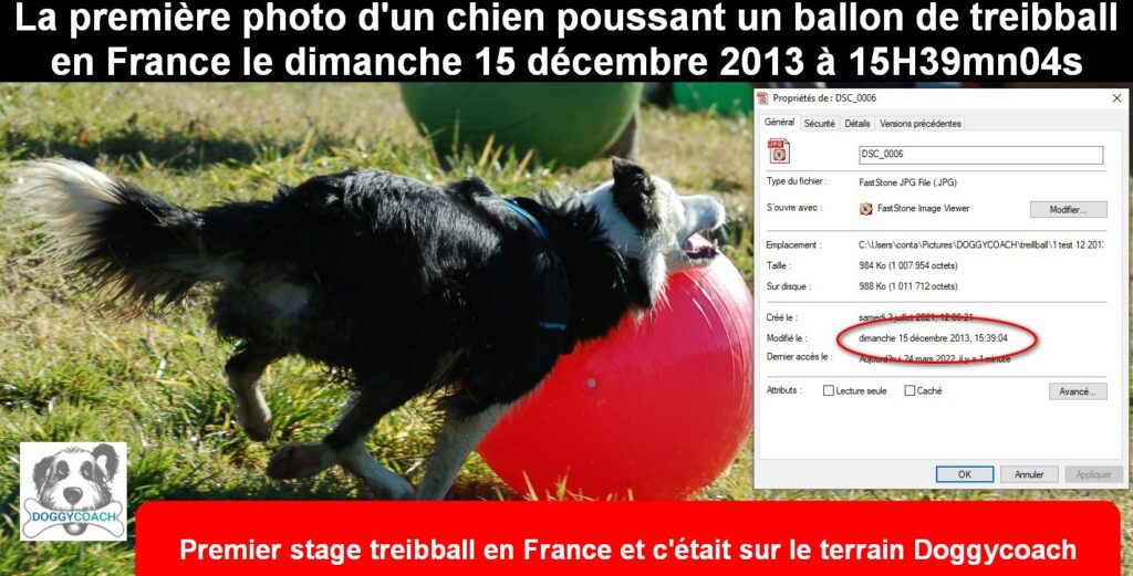 treibball photo n1 en France